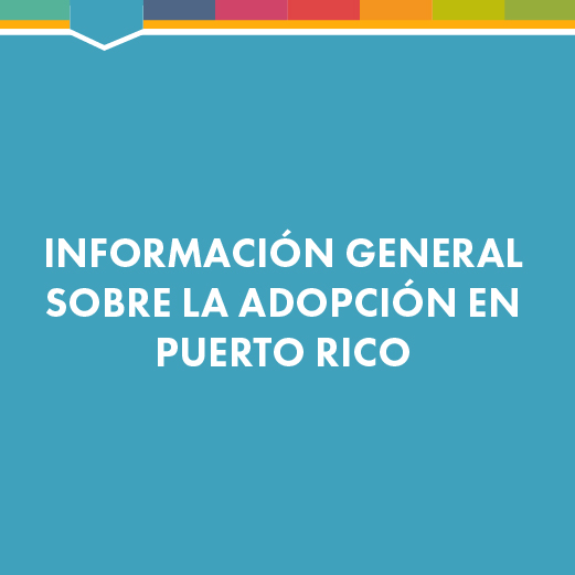 Información general sobre la adopción en Puerto Rico