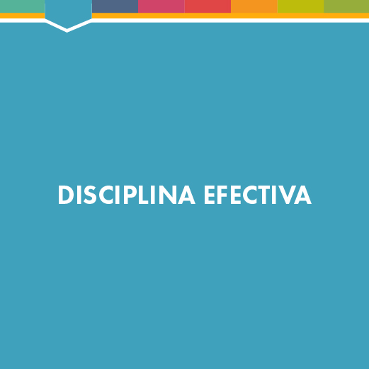 Disciplina efectiva