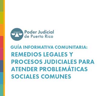 Guía informativa comunitaria: remedios legales y procesos judiciales para atender problemáticas sociales comunes