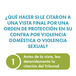 ¿Qué hacer si le citaron a una vista final por una orden de protección en su contra por violencia doméstica o violencia sexual?