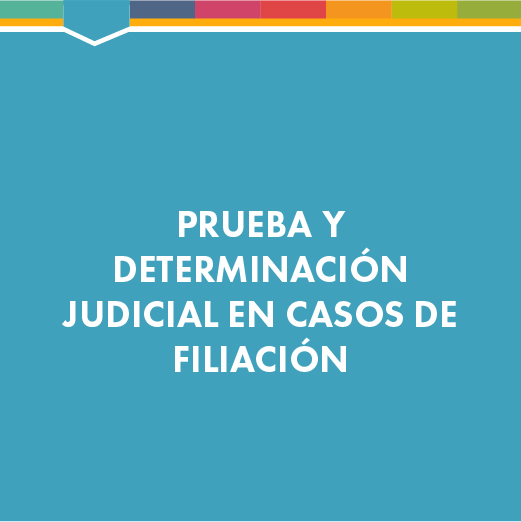 Prueba y Determinación Judicial en Casos de Filiación