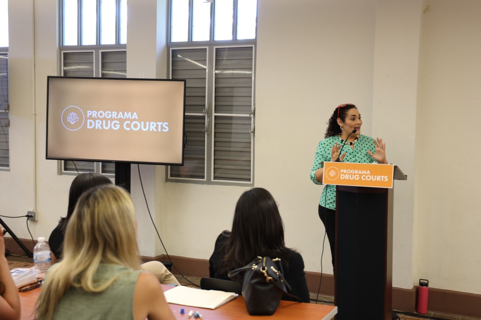 El componente intergubernamental del Programa Drug Courts participó de un taller que ofreció la Dra. Ilia Vázquez Gascot titulado Intensiones y voluntades: El reto de un servicio ajustado a las necesidades.