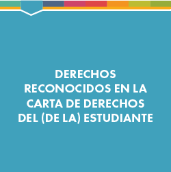Derechos constitucionales que se deben garantizar en casos de personas menores de edad